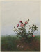 Rose Bush in front of a Landscape Thumbnail